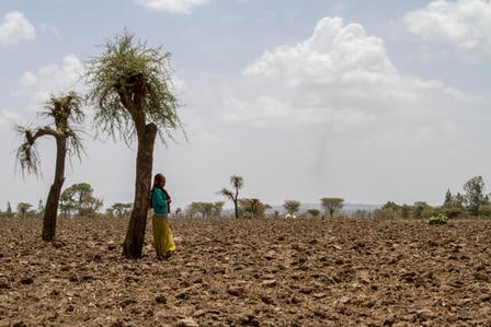A woman stands in an arid, drought-ridden farmland in Ethiopia