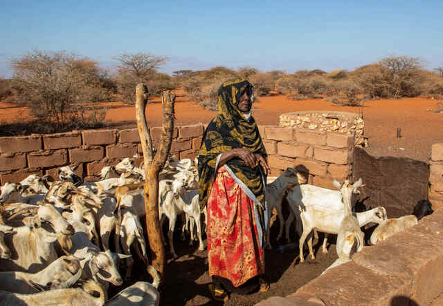80-year-old Hawo at her farm with goats in Somalia